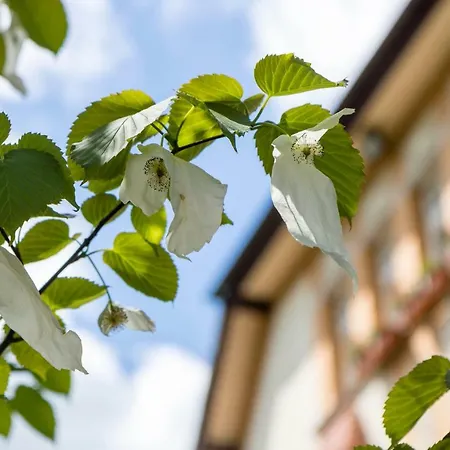 Gaestehaus Musmann Penzion 3*