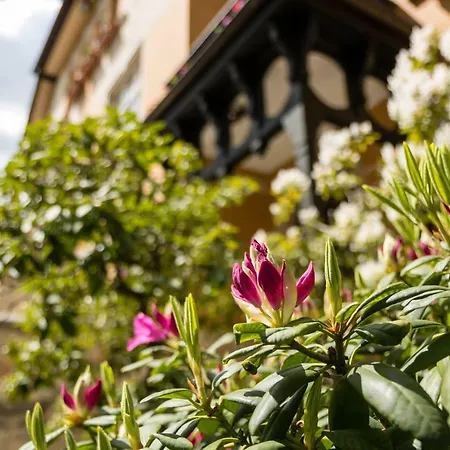 Penzion Gaestehaus Musmann Hannoversch Münden