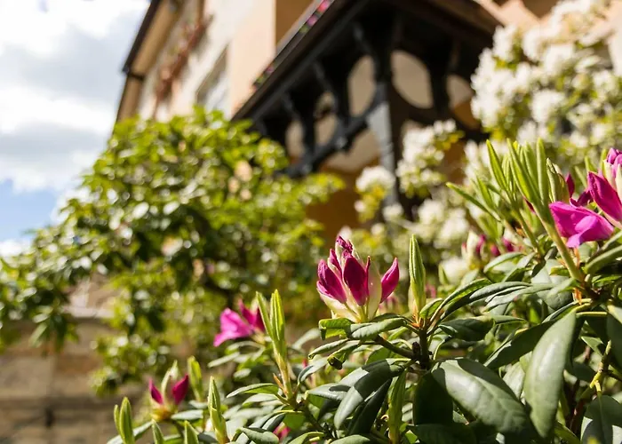 Estalagem Gaestehaus Musmann Hannoversch Münden